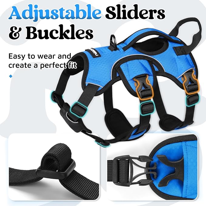 rabbitgoo Escape Proof Dog Harness for Small, No Pull with Lift Handle | No Escape, Full Soft Padded, Reflective Adjustable Vest, Leash Clip for Walking Hiking Training, Blue, Small