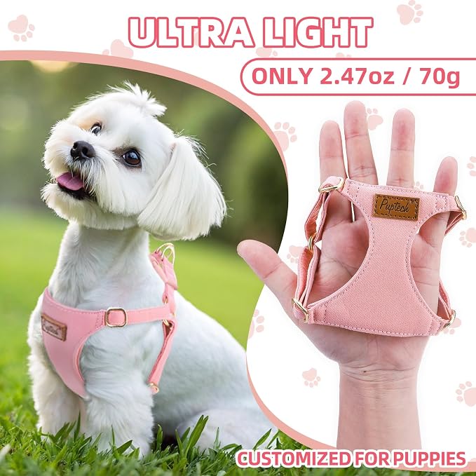 PUPTECK Dog Harness and Leash Set Small Sized, Lightweight Step-in Puppy Harness, Escape Proof No Pull Cute Pet Vest Harnesses, Pink M