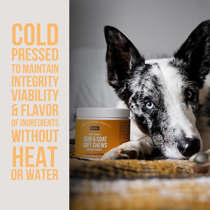 Natural Rapport Dog Skin & Coat Chews, Salmon Oil & Omegas 3-6-9, 120ct