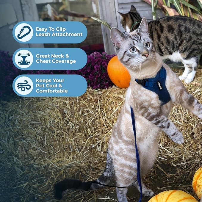 Voyager Escape-Proof Step-in Lock Cat Harness & 5ft Neoprene-Handle Leash Set All-Weather Mesh with Reflective Stitching for Small to Large Cats by Best Pet Supplies, Royal Blue, S