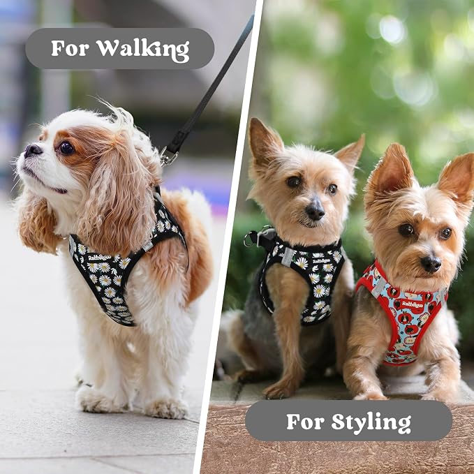 rabbitgoo Step-in Small Dog Harness, Puppy Vest for Small Sized Pet | Easy Put on and off, Lightweight, Soft, Breathable Quick-Dry Air Mesh for Comfortable Secure Walking, Midnight Daisy XXS
