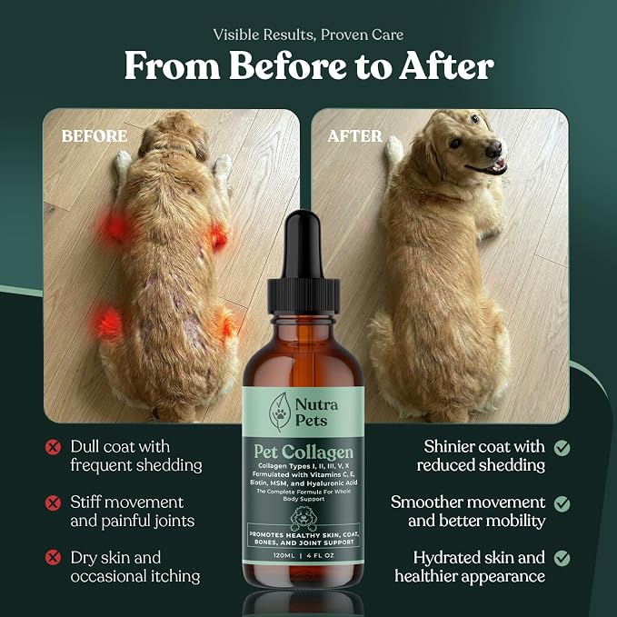 Premium Liquid Collagen for Dogs & Cats | 5 Types of Collagen (I, II, III, V, X) | Supports Skin, Coat, Hips, Joints, & Bones | Allergy and Itch Relief | Biotin, Hyaluronic Acid, Vitamin C