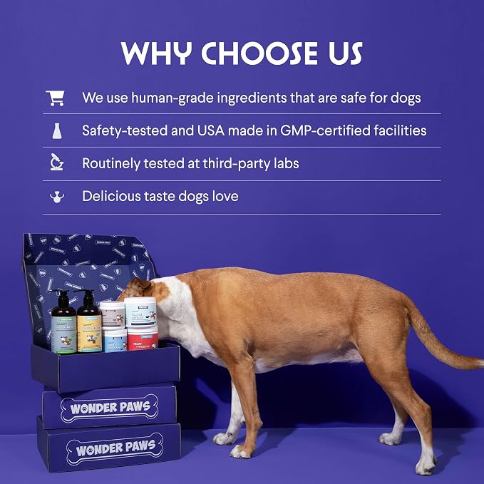 Wonder Paws Melatonin for Dogs, L-Theanine, 2oz