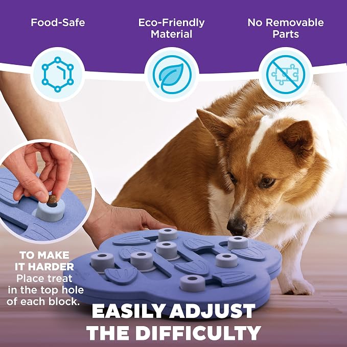 Outward Hound Nina Ottosson Dog Hide N' Slide Dog Toy Treat Puzzle, 11.6" | Level 2 Intermediate, 14 Hidden Treat Compartments, Slide & Swivel, Kibble or Treats, Easy Clean, Enrichment, Dogs & Puppies
