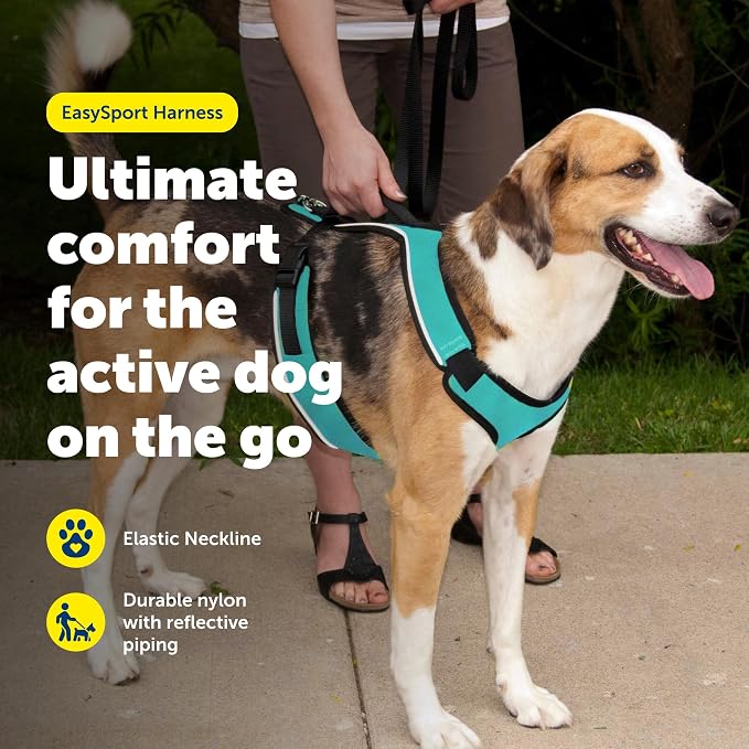 PetSafe EasySport Dog Harness, Teal Blue, Small | Padded, Elastic Neckline Harness for Active Dogs, Reflective Piping for Visibility, Top Control Handle, Rear Leash Clip