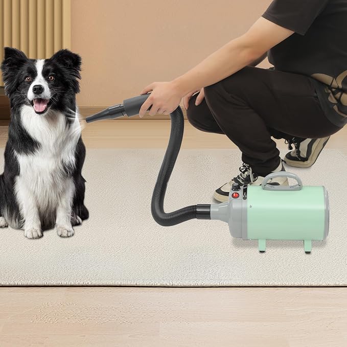 Dog Dryer, Dog Dryer for Pet Grooming, 2200W Pet Grooming High Velocity Force Blower with 4 Nozzles, Adjustable Speed and Temperature Control High Velocity Pet Blow Dryer (Green)