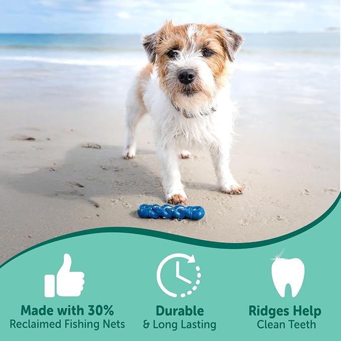 Nylabone Power Chew Love Our Oceans Infinity Braid Dog Chew Toy, Small | Bully stick flavor, durable chew toys, long lasting, flavor throughout, for dogs up to 25 lbs, teeth-cleaning textures