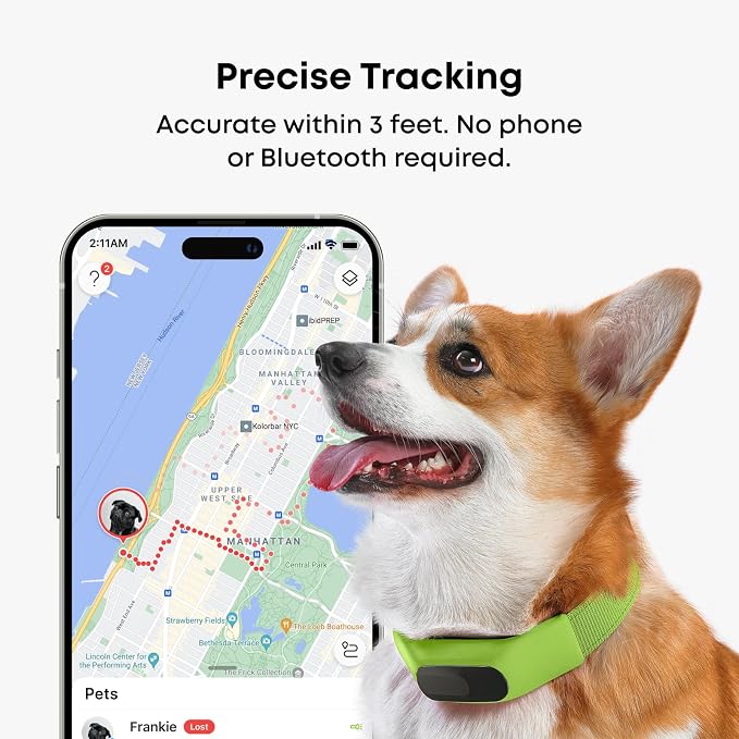 Averia Collar - Reliable GPS and Activity Tracker for Dogs