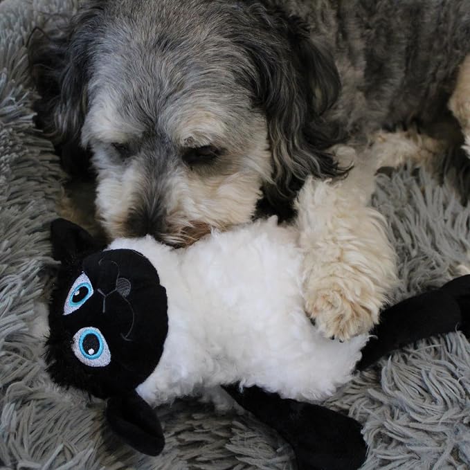 SPOT Baa Baa Black Sheep Plush Dog Toy - Cute and Cuddly Fleece Toy with Squeaker for Medium to Large Dogs and Puppies, 13in Black and White Lamb