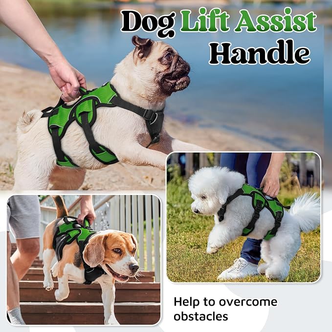 rabbitgoo Escape Proof Dog Harness for Small, No Pull with Lift Handle | No Escape, Full Soft Padded, Reflective Adjustable Vest, Leash Clip for Walking Hiking Training, Green, Small