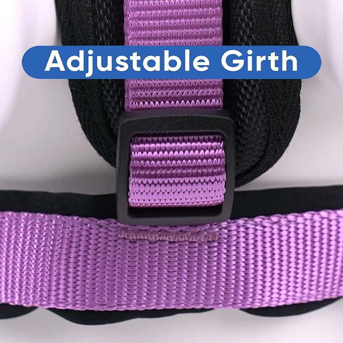 Pawtitas Reflective Padded Dog Harness for Medium Dogs – Adjustable Step-in Vest | Fits Chest 22–28 in | No Pull Training Harness | M | Orchid