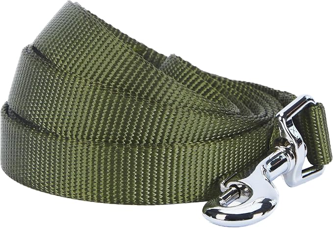 Blueberry Pet Essentials Military Green Dog Leash for Small -5' * 5/8" Dogs | Heavy Duty Nylon Lead | Lightweight Puppy & Cat Leash for Walking & Training