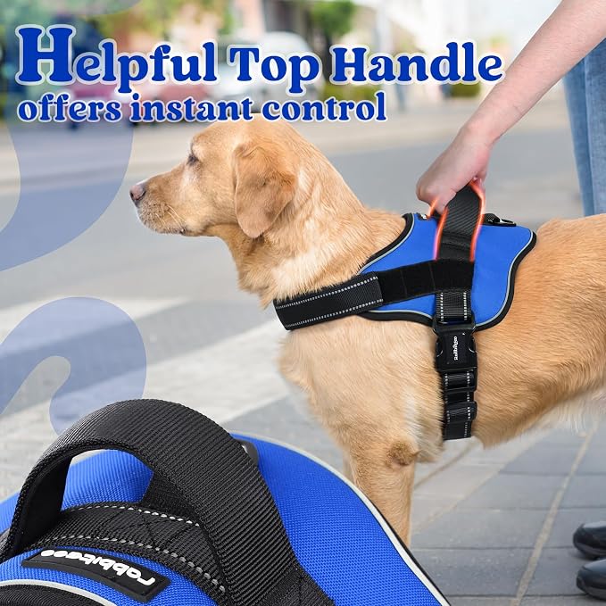 rabbitgoo No Pull No Choke Pet Vest, Adjustable Pet Harness with Molle | Small Sized Dog Harness, Reflective, Easy Wearing with One Buckle for Walking, Training, Blue, S