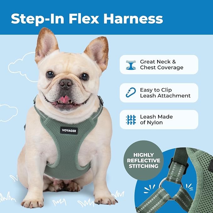 Voyager Step-in Flex Adjustable Dog Harness - Moss Green, X-Small | 13 - 16" in Chest, Fully Adjustable, Reflective Bands, All Weather Breathable Air Mesh, Lightweight, Fast Drying
