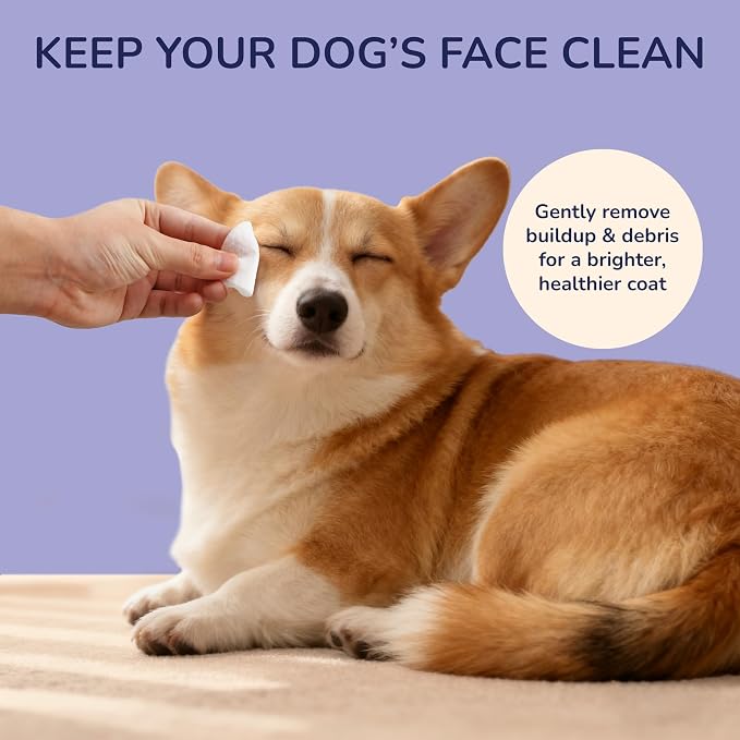 PWP1003A Dog Eye and Tear Stain Wipes for Dogs & Cats, Hypoallergenic Facial Cleansing Wipes with Chamomile & Oat Kernel, Gently Remove Tear Stains & Debris, 120 Count