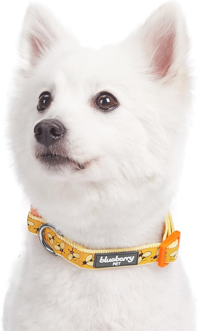 Blueberry Pet Essentials 10 Patterns Statement Busy Bees Designer Adjustable Dog Collar, Medium, Neck 14.5"-20"