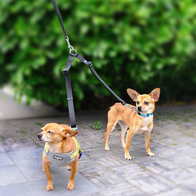 Blueberry Pet Essentials Durable Classic Double Dog Leash Coupler, Turquoise, Medium/Large, Dual Walking & Training Leashes for Two Dogs