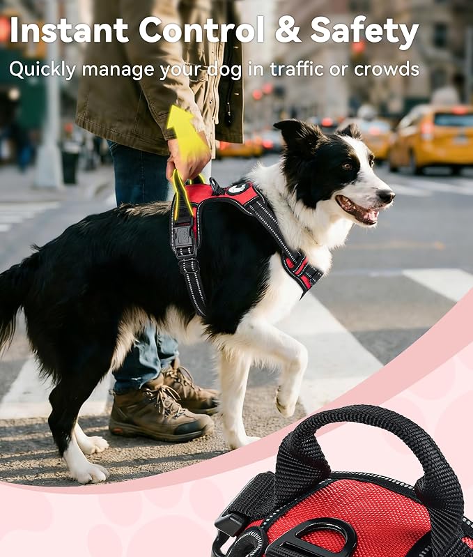 Joytale No Pull Dog Harness for Small Dogs, Front Clip, Red | Grab Handle for Instant Control, Padded & Adjustable Vest, Sturdy Metal D-Rings, for Safe Training & Daily Walking
