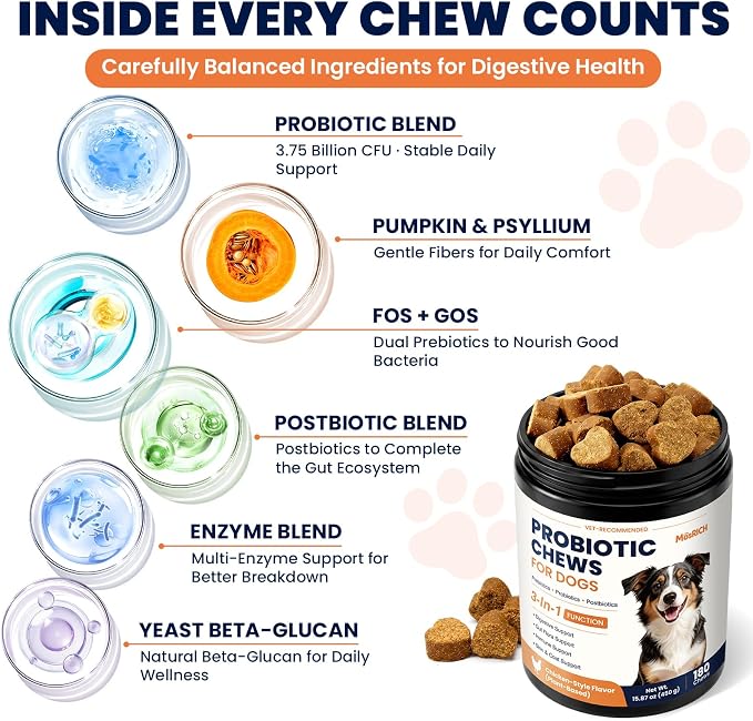 Probiotics for Dogs Daily Gut Support Dog Probiotics 3 in 1 Chews to Promote Digestive Immune and Skin Health Dog Probiotic for Gut Comfort Dog Probiotics for Digestive Health 180 Ct