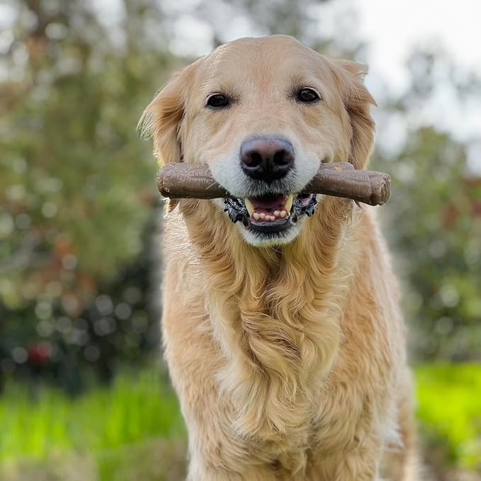 Nylabone Strong Chew Stick Made with Real Wood Dog Chew Toy, X-Large | Bacon flavor, x-large breeds, no splintering, durable chew toys, long lasting, helps clean teeth, for dogs 50+ lbs