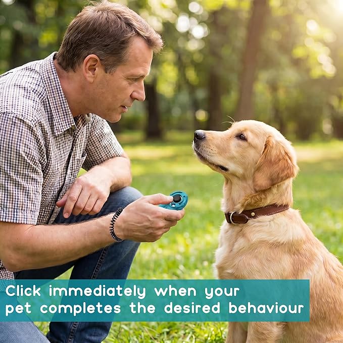 Pet Training Clicker with Wrist Strap, 16 Colors