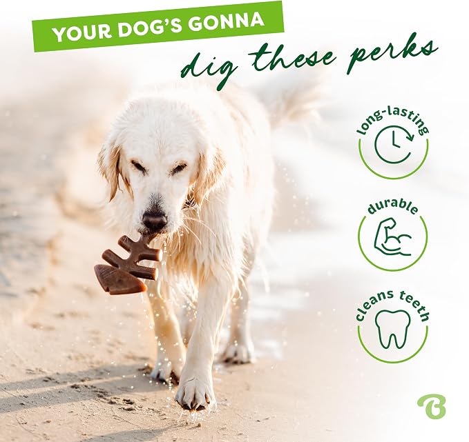 Benebone Fishbone Dog Chew Toy for Aggressive Chewers, Long Lasting, Made in USA, Large