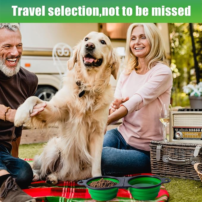 SLSON Collapsible Dog Dual Bowls with Lock Clips, Green
