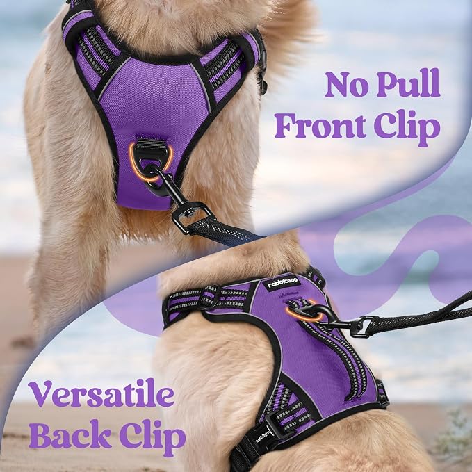 rabbitgoo Large Dog Harness, Easy Wear with 3 Buckles and Lift Handle | No Pull with Front Clip for Walking, Adjustable Soft Padded, Reflective, Easy Control, Purple, X-Large