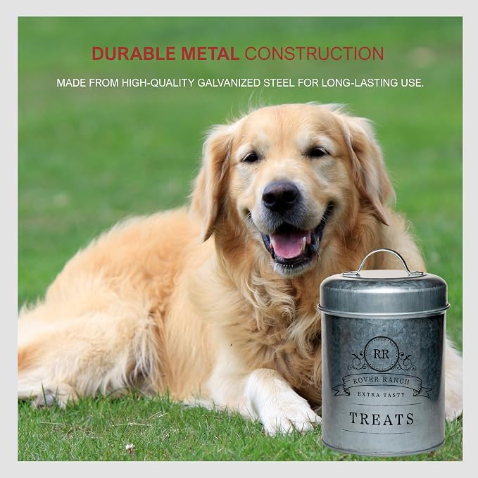 Amici Home Rover Ranch Metal Pet Treat Canister, 64 Oz - Silver