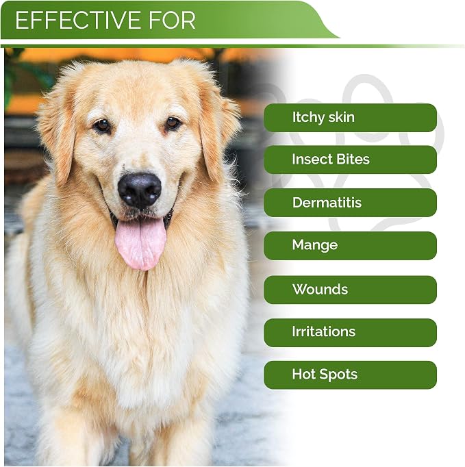 Hypoallergenic Dog Coat Conditioner- Detangles & Softens Fur, Calms Itching & Dryness, Organic Aloe Vera & Manuka Honey Soothes The Skin, Reduces Dandruff, Shedding, Scratching and More 16oz