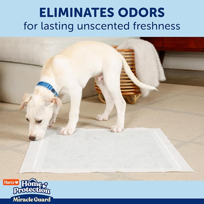 Hartz Miracle Guard Dog and Puppy Dog Pads Max Absorbency 24 Hour Use Odor Eliminating No Leaks, Regular Size 50 Count