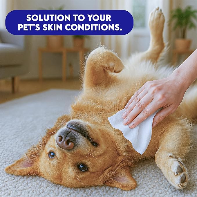 Pet Wipes for Dogs & Cats - Gentle Daily Cleaning for Paws, Face & Coat – All Breeds (60 Count)