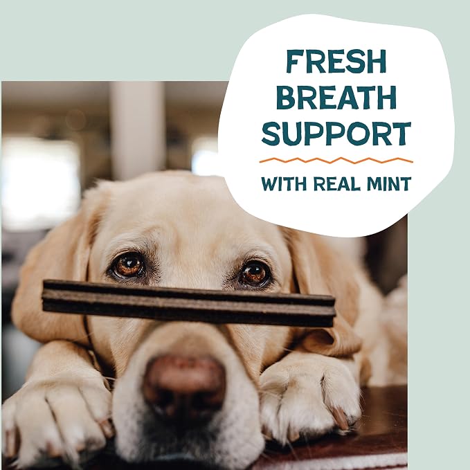 Shameless Pets Carrot & Mint Dental Chews for Dogs, 32 Chews - Natural Dog Teeth Cleaning Treats with Fresh Breath Benefits | Grain-Free Dental Sticks for Small, Medium & Large Dogs