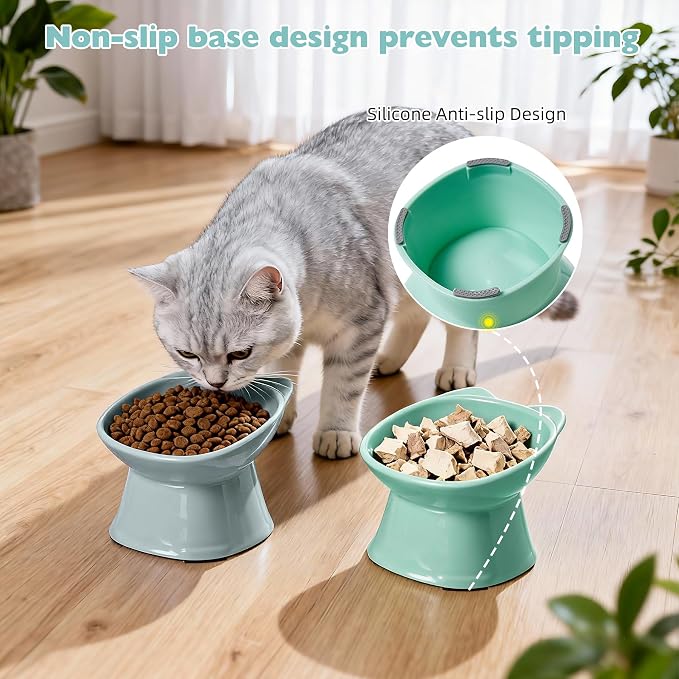 KSIA Klear Elevated Cat Bowls 2 Pack, Tilted Raised Cat Bowls for Indoor Cats, for Food and Water, 4.72" Wide, Whisker Friendly Anti Vomit for Indoor Cats, Microwave and Dishwasher Safe, Blue&Green