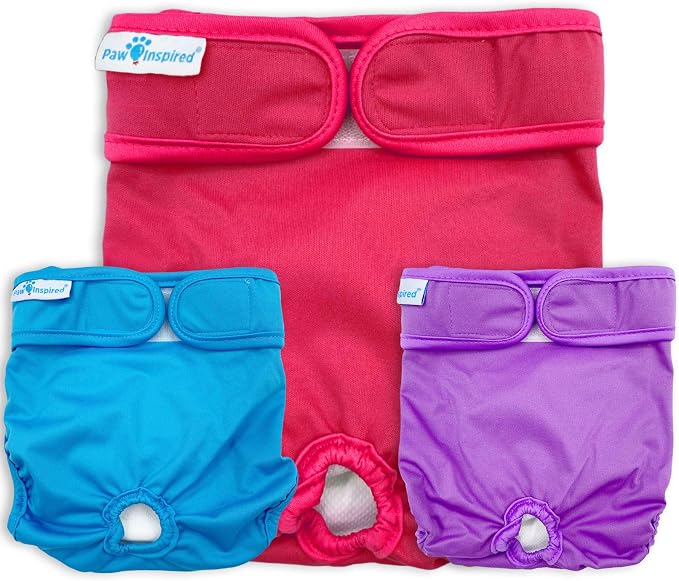Paw Inspired Reusable Washable Dog Diapers (Pack of 3) in Assorted Colors with White Lining and Dog Diaper Suspenders in Black Combo Pack (X-Small)