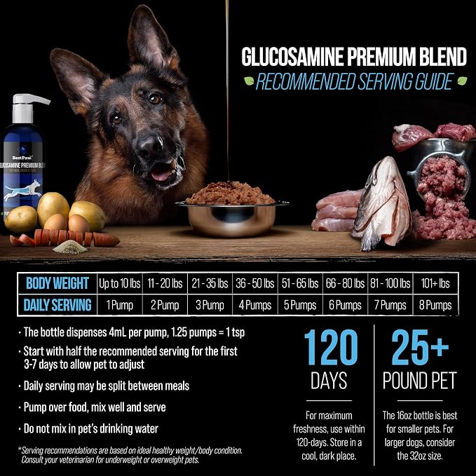 Liquid Glucosamine for Dogs | Glucosamine Chondroitin MSM with Hyaluronic Acid | Hip and Joint Supplement | Bacon Flavor | Easy Pump Food Topper | 16oz