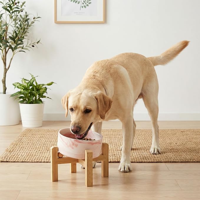 hjn Elevated Ceramic Dog Bowl 15°Slanted Raised Dog Bowl with Bamboo Stand for Small Medium Dogs and Cats, Pet Feeder -7.6-Cup (1800ml)-Marble Pink