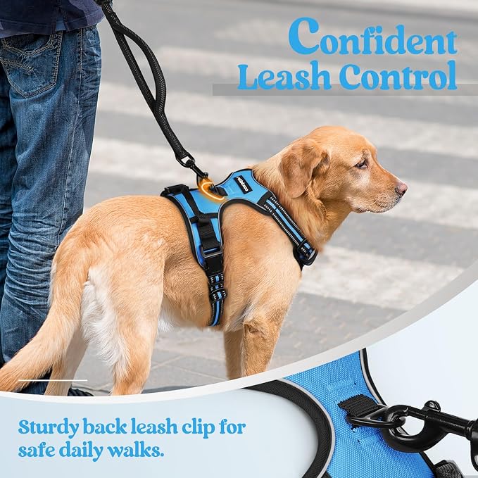 rabbitgoo Dog Harness, No Pull for Large Dogs with 2 Leash Clips, Pet Vest | No Choke with Handle, Adjustable Soft Padded, Reflective, Easy Control for Walking, Blue, X-Large