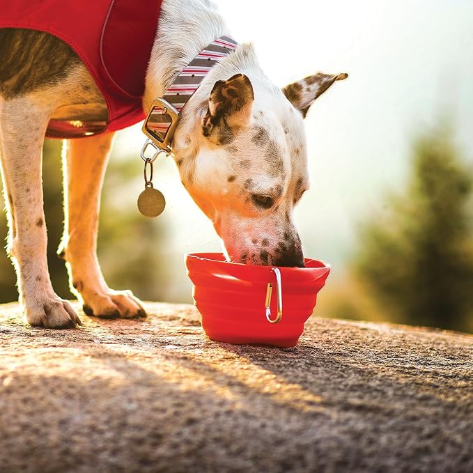 Kurgo Collapsible Travel Dog Bowl, Red