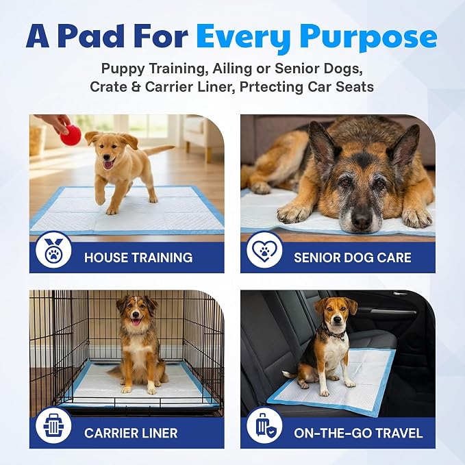 American Kennel Club Puppy Training Pads with Ultra Absorbent Quick Dry Gel – 22 x 22 Pee Pads for Dogs - 100 Count (Unscented)