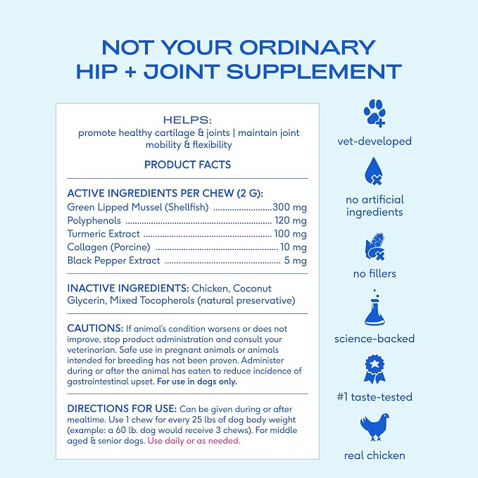 Native Pet Inflammatory Care - Pain Relief for Dogs - Green-Lipped Mussel, Turmeric & Collagen for Dogs - Hip and Joint Supplement Supports Healthy Inflammatory Response & Joint Comfort - 120 Chews
