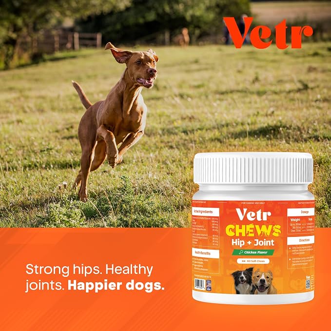 Vetr Hip and Joint Chicken Flavored Chews for Dogs - Glucosamine Chondroitin MSM Supplement - 60 Chewable Tablets - Vet-Formulated in USA