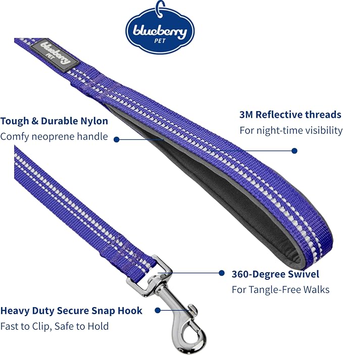 Blueberry Pet 3M Reflective Pastel Color Dog Leash with Soft & Comfortable Handle, 4 ft x 1", Violet, Large, Leashes for Dogs