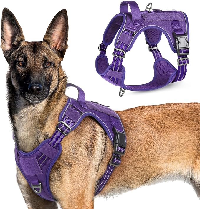 rabbitgoo Tactical Dog Harness for X-Large, No Pull Military Service Vest | Molle & Handle, Heavy Duty, Adjustable, Reflective Straps, Easy Control for Training Walking, Purple, X-Large