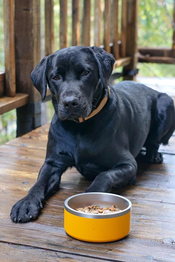 Bone Broth for Dogs – Grass-Fed Beef Protein Powder with Medicinal Mushrooms – Supports Hips, Joints, Digestion & Immunity – All-Natural Food Topper – 60 Servings (3 oz, 83 Grams)