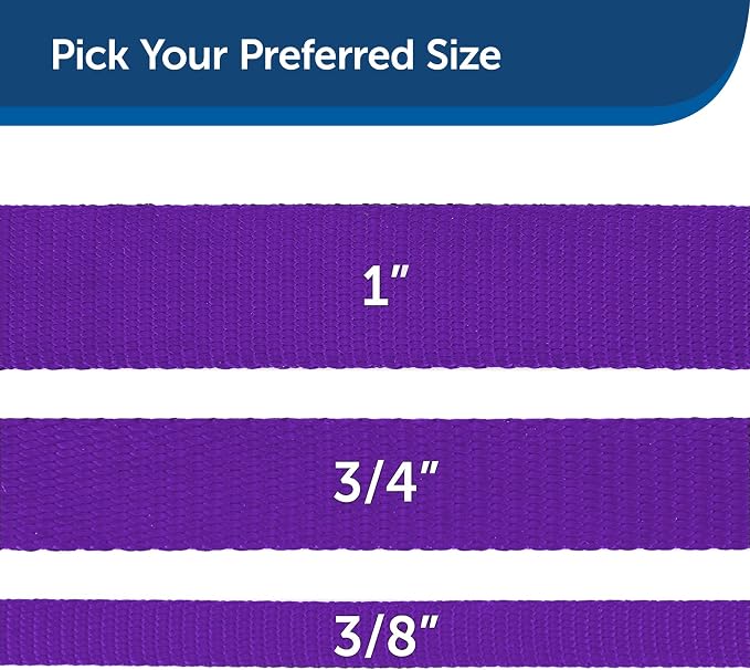 PetSafe Nylon Dog Leash - Strong, Durable, Traditional Style Leash with Easy to Use Bolt Snap - 1 in. x 6 ft., Deep Purple | Durable Nylon Leash with Easy on/off Bolt Snap Hook, Pairs Perfectly with Easy Walk Harness and Gentle Leader Headcollar