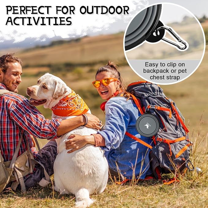 Collapsible Dog Bowls, 2 Pack, with Carabiners, Grey & Black, Small