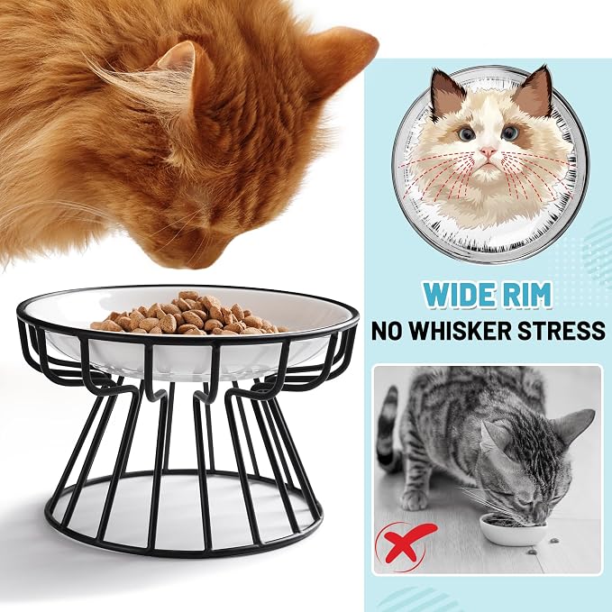 Cat Bowls, Elevated Cat Bowl, Raised Ceramic Dish with Metal Stand, Pet Water or Food Feeding Station for Indoor Cats, Kitten, Puppies and Small Dogs, Dishwasher Safe (Raised Cat Bowl(2 pack))