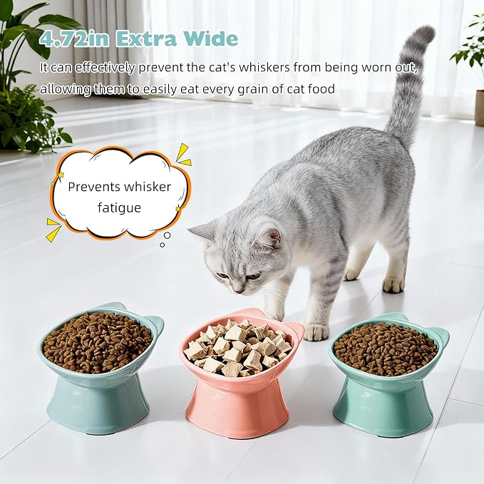 KSIA Klear Elevated Cat Bowls 2 Pack, Tilted Raised Cat Bowl for Food and Water, 4.72" Wide, Whisker Friendly Anti Vomit for Indoor Cats, Microwave and Dishwasher Safe, Pink