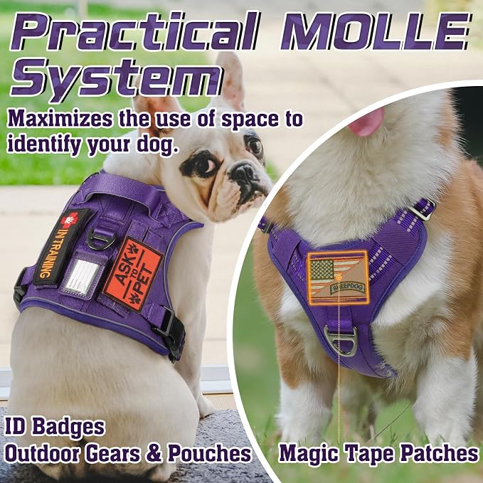 rabbitgoo Tactical Dog Harness for Small, No Pull Military Service Vest | Molle & Handle, Heavy Duty, Adjustable, Reflective Straps, Easy Control for Training Walking, Purple, Small